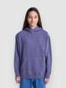 Element Lowcase Pigment Po Kids Hoodie