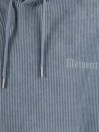 Element Serif Corduroy Po Hoodie