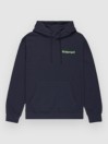 Element 4 Elements Po Hoodie
