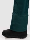 Patagonia Powder Town - Reg Hose