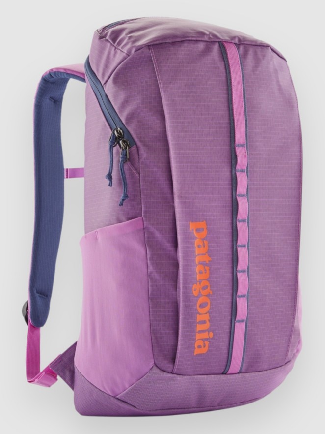 Patagonia Black Hole 25L Backpack