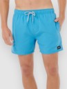 Rip Curl Offset Volley Boardshorts