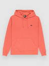 Quiksilver Basic Hoodie