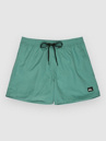 Quiksilver Everyday Solid Volley 15 Boardshorts
