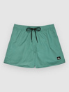 Quiksilver Everyday Solid Volley 15 Boardshorts
