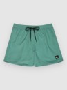Quiksilver Everyday Solid Volley 15 Boardshorts