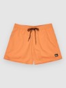 Quiksilver Everyday Solid Volley 15 Boardshorts