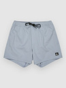 Quiksilver Everyday Flex Volley 15 Shorts