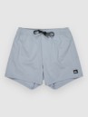 Quiksilver Everyday Flex Volley 15 Shorts