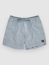 Quiksilver Everyday Surfwash Volley 15 Boardshorts