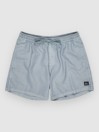 Quiksilver Everyday Surfwash Volley 15 Boardshorts