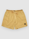 Quiksilver Everyday Surfwash Volley 15 Boardshorts