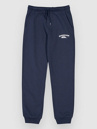Quiksilver Slim Jogger Kids Kalhoty