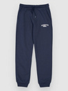 Quiksilver Slim Jogger Kids Pants