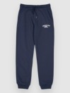 Quiksilver Slim Jogger Kids Pants