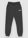 Quiksilver Slim Jogger Kids Pants