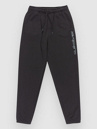 Quiksilver Graphic Jogger Kids Pants