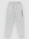 Quiksilver Graphic Jogger Kids Pants