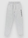 Quiksilver Graphic Jogger Kids Pants