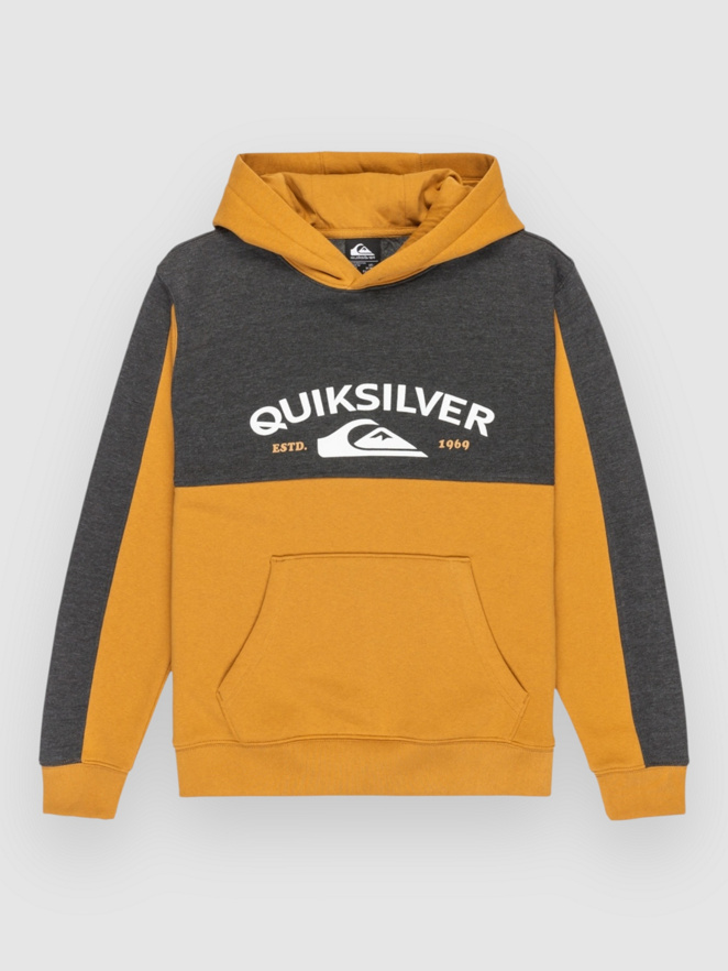 Quiksilver Knowledge Area Kids Hoodie