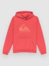 Quiksilver Comp Logo Kids Hoodie