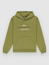Quiksilver Graphic Kids Hoodie
