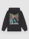 Quiksilver Salt Water Graphic Kids Hoodie