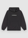 Quiksilver Salt Water Graphic Kids Hoodie
