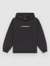Quiksilver Salt Water Graphic Kids Hoodie