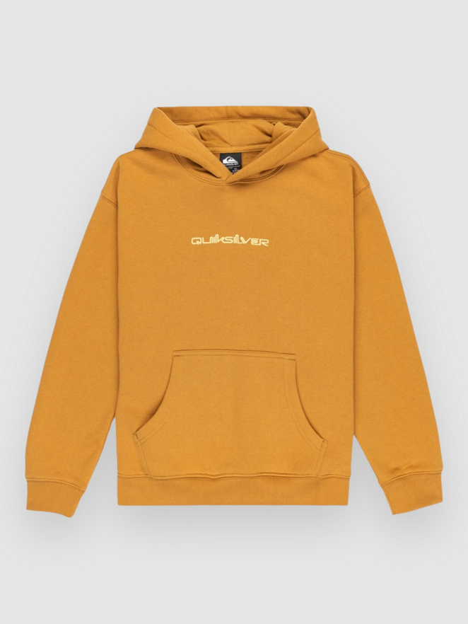 Quiksilver Salt Water Graphic Kids Hoodie