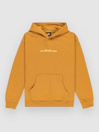 Quiksilver Salt Water Graphic Kids Hoodie