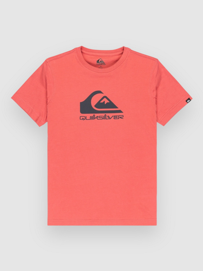 Quiksilver Ev Comp Logo Kids T-Shirt