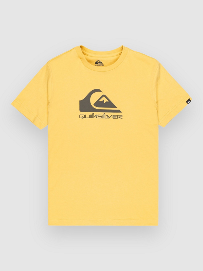Quiksilver Ev Comp Logo Kids T-Shirt