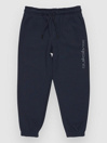 Quiksilver Graphic Jogger Kids Pants