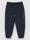 Quiksilver Graphic Jogger Kids Pants