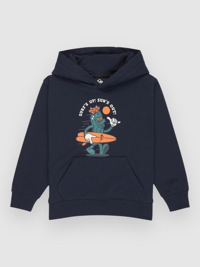 Quiksilver Graphic Kids Hoodie
