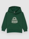 Quiksilver Graphic Kids Hoodie