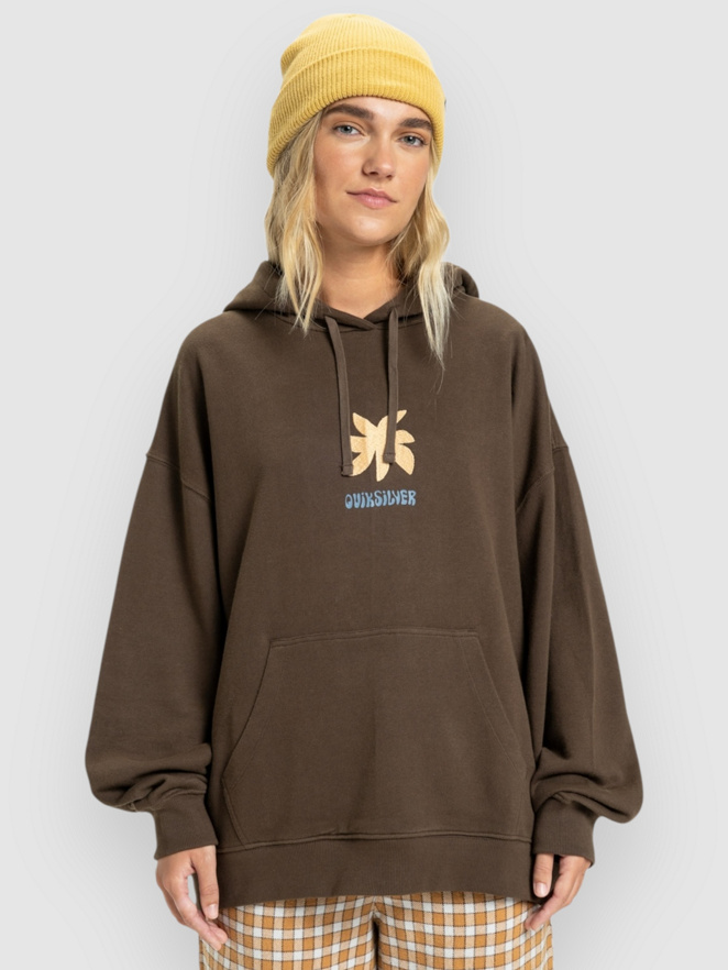 Quiksilver Standard Hoodie