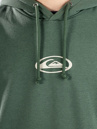 Quiksilver Salt Water Graphic Hoodie