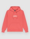 Quiksilver Screen Fleece Fineline Hoodie