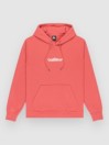 Quiksilver Screen Fleece Fineline Hoodie