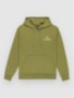 loden green