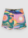 Quiksilver Surfsilk Straight Volley 17 Boardshorts