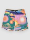 Quiksilver Surfsilk Straight Volley 17 Boardshorts