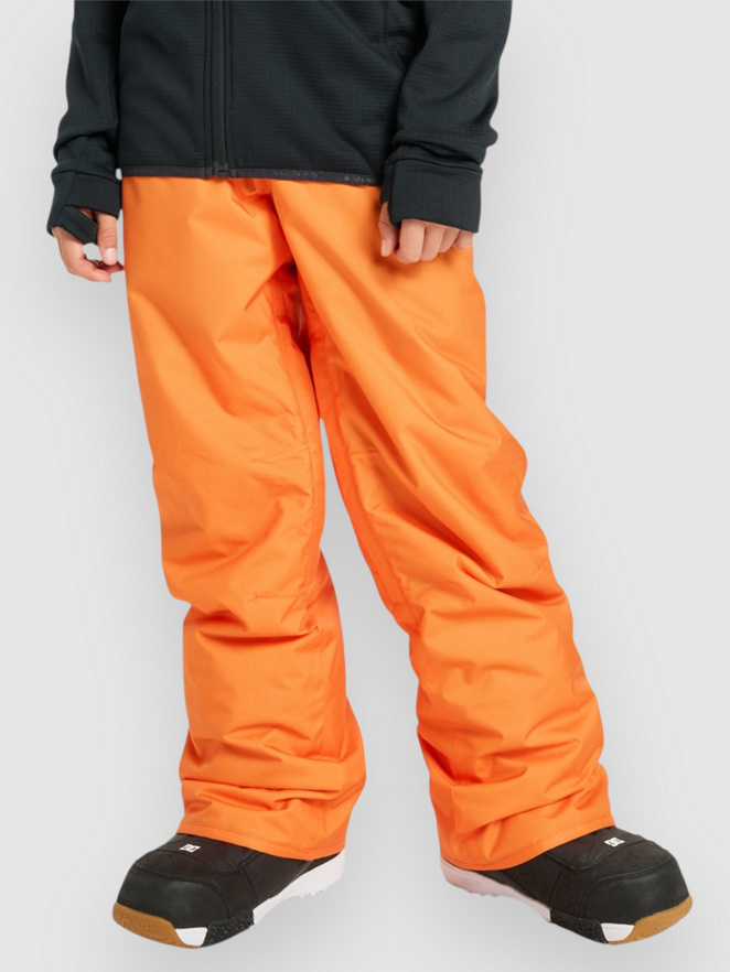 Quiksilver Estate Kids Pants
