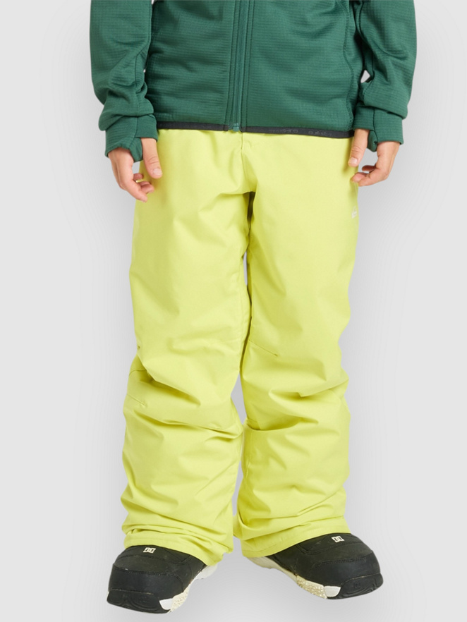 Quiksilver Estate Kids Pants