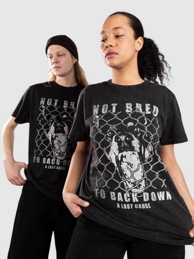 A Lost Cause Backdown Vintage T-Shirt