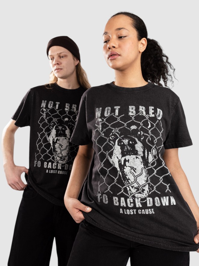 A Lost Cause Backdown Vintage T-Shirt