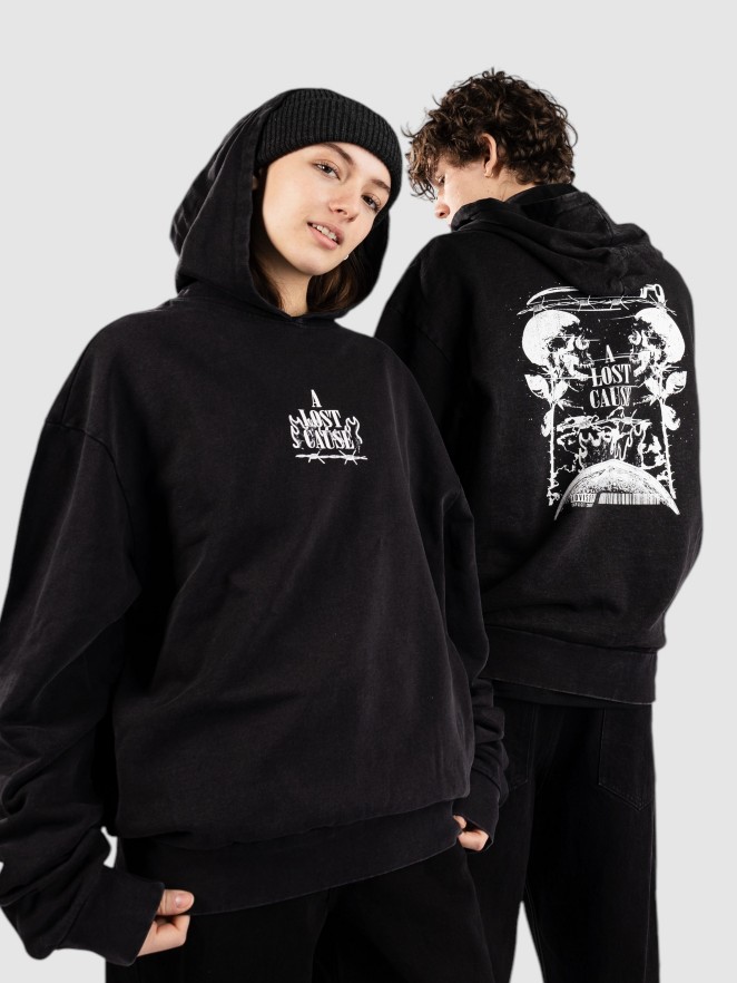 A Lost Cause Rebirth Vintage Hoodie
