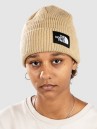 THE NORTH FACE Salty Lined Beanie
